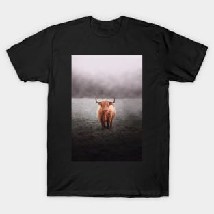 Highland Cow T-Shirt